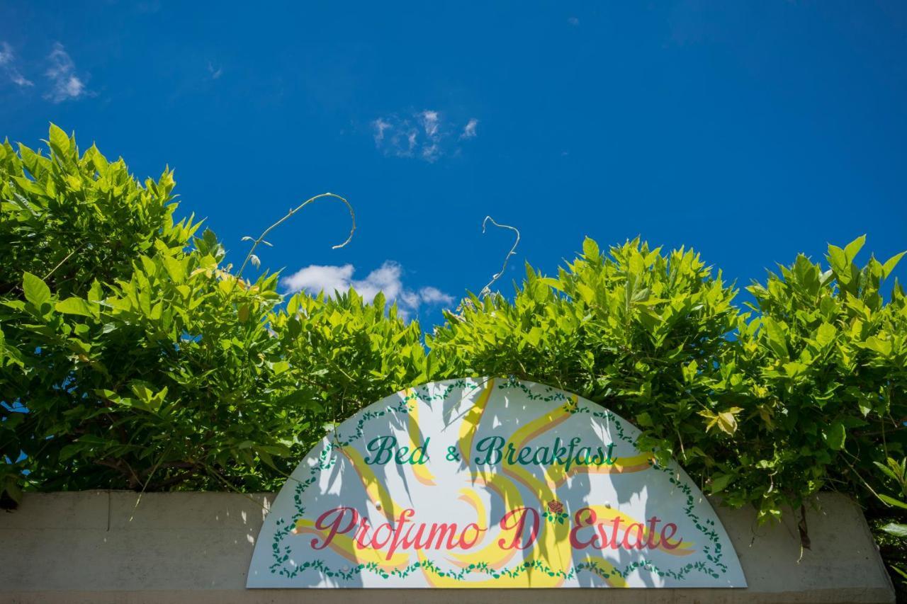 Bed & Breakfast Profumo D'Estate Agliana Luaran gambar